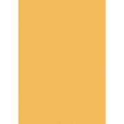 Farebný výkres Herlitz 50 x 70 cm, 10 hárkov, 300 g, marhuľový